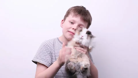 Portrait of a boy with a rabbit, hugging a rabbit, stroking Stock Footage 174210192