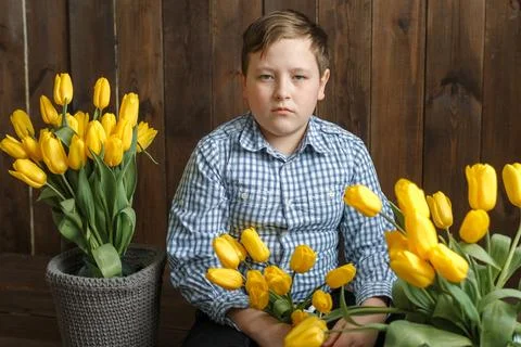 Portrait of a boy sitting among bouquets of yellow tulips. Stock Photos