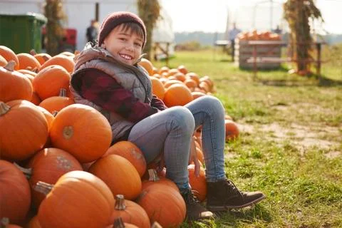Portrait of boy sitting on stack of harvested pumpkins Stock Photos