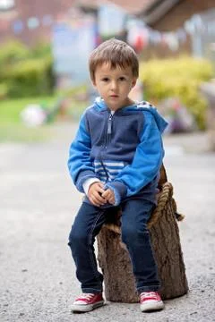 Portrait of a boy, sitting on a tree trunk Stock Photos