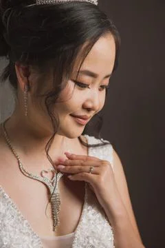 Portrait of a bride Stock Photos