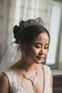Portrait of a bride Stock Photos