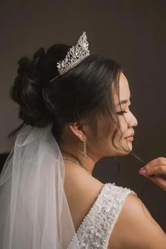 Portrait of a bride Stock Photos