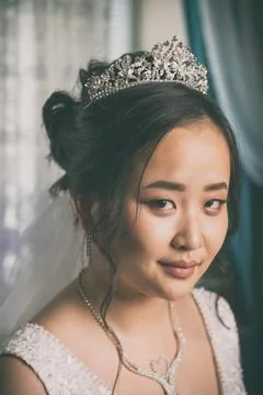 Portrait of a bride Stock Photos