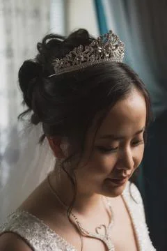 Portrait of a bride Stock Photos