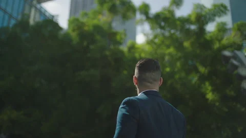 Portrait of a businessman. Stock Footage 237249728