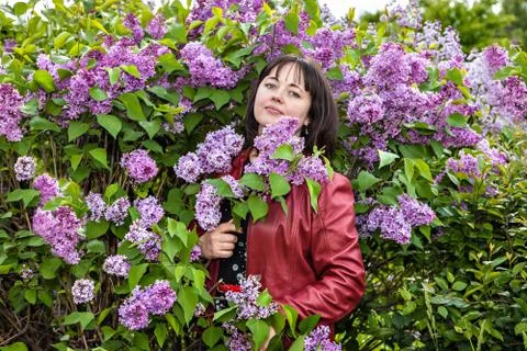 Portrait of a calm beautiful woman among the blossoms of a flowering lilac for a Stock Photos