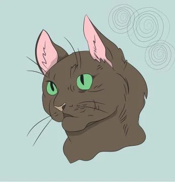 Portrait of a cat, on a background Stock Illustration