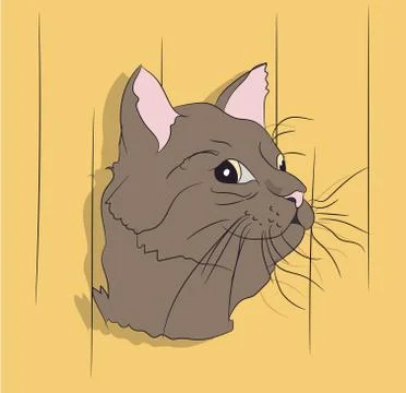 Portrait of a cat, on a background Stock Illustration