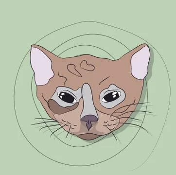 Portrait of a cat, on a background Illustrazione stock