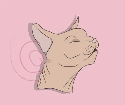 Portrait of a cat, on a background Stock Illustration