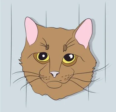 Portrait of a cat, on a background Illustrazione stock