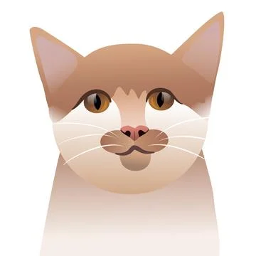 Portrait of a cat looking at the camera Stock Illustration