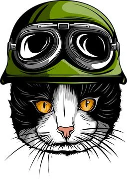 Portrait of a Cat with steampunk helmet. Vector illustration. 스톡 일러스트