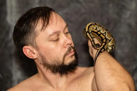 Portrait of caucasian man with Python regius snake on gray background. Selective Photos