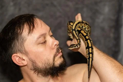 Portrait of caucasian man with Python regius snake on gray background. Selective Photos