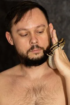 Portrait of caucasian man with Python regius snake on gray background. Selective Photos