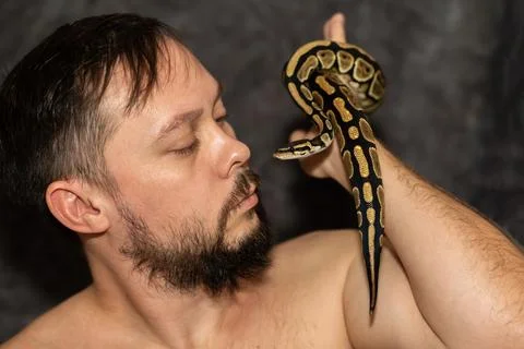 Portrait of caucasian man with Python regius snake on gray background. Selective Photos