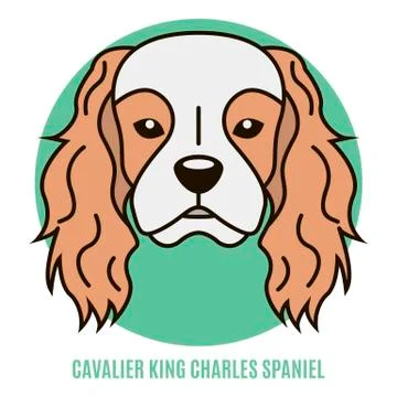 Portrait of Cavalier King Charles Spaniel. Vector illustration in style of fl Stock Illustration