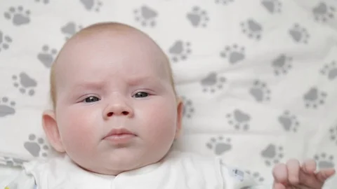 Portrait of charming smiling toddler with chubby cheeks Stock Footage 127021905