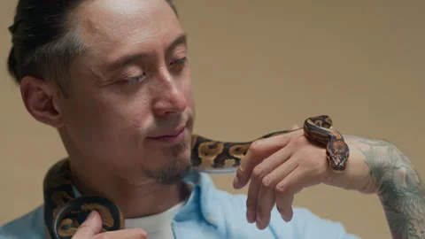 Portrait of Cheerful Multiethnic Man Posing with Python Coiling His Neck 스톡 동영상 302411627