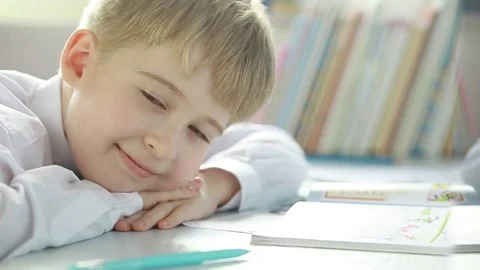  Portrait of a cheerful schoolboy. Elementary school student.  Stock Footage 73445387