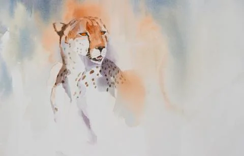 Portrait of a Cheetah Stock Illustration