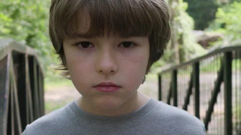 Portrait Child Boy Looking at Camera Standing on Bridge in Nature Park. You.. Video stock 311548322
