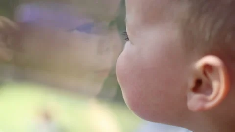 Portrait of a child boy looking through the window Stock Footage 158069839