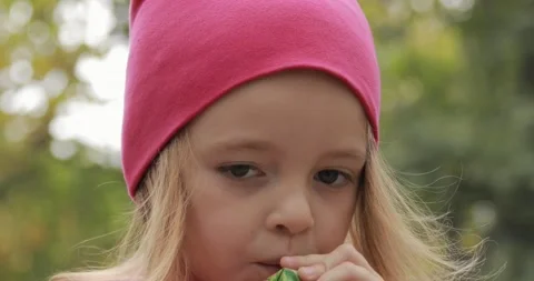Portrait of a child looking at the camera. Stock Footage 163315591