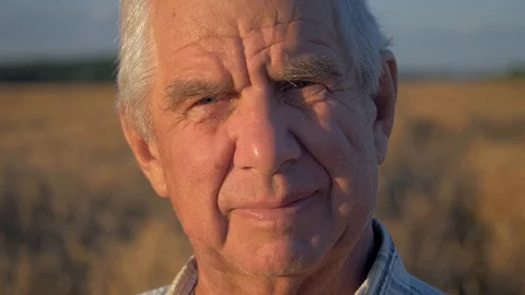 Portrait Close Up Of Elderly Caucasian Man Working In Field Of Wheat At Sunset Stock Footage 104610643