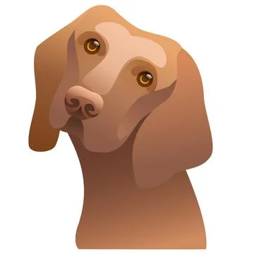 Portrait of a Coonhound dog looking at the camera Stock Illustration