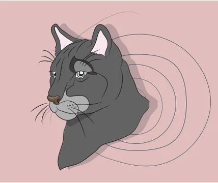 Portrait of a cougar looking at wall vector Stock Illustration