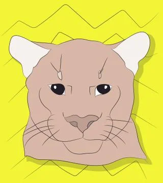 Portrait of a cougar looking at wall vector Stock Illustration