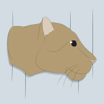 Portrait of a cougar looking at wall vector Stock-Illustration
