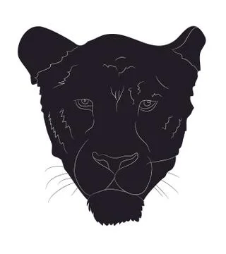 Portrait of a cougar silhouette, vector Stock Illustration