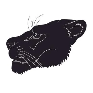 Portrait of a cougar silhouette, vector Stock Illustration