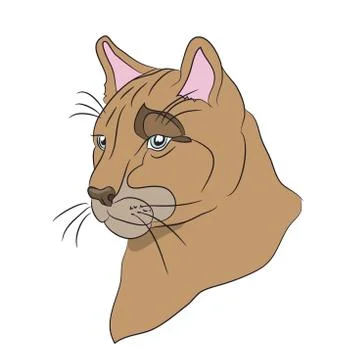 Portrait of a cougar, vector Illustrazione stock