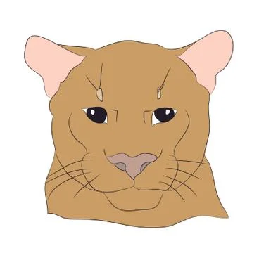 Portrait of a cougar, vector Illustrazione stock
