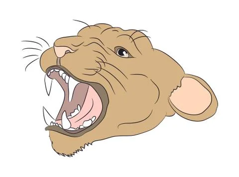 Portrait of a cougar, vector Stock Illustration