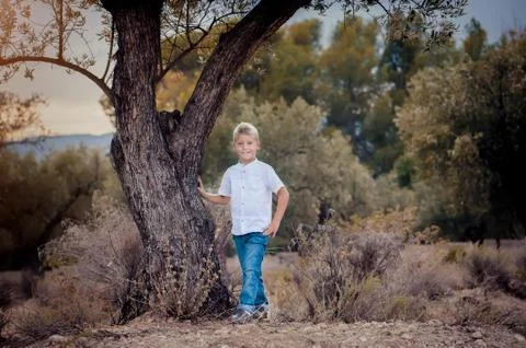 Portrait of a cute boy Stock Photos