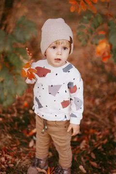 Portrait of a cute boy standing on the ground covered with autumn leaves. Stock Photos