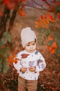 Portrait of a cute boy standing on the ground covered with autumn leaves. Stock Photos