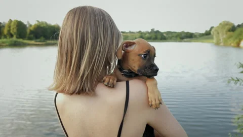 Portrait of cute small german boxer puppy in nature near the lake, woman holds Stock Footage 159810217