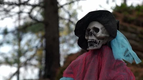 Portrait of decorative skeleton, ghost in rags and hat in autumn forest. closeup Stock Footage 211228941