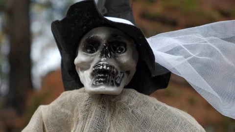 Portrait of decorative skeleton, ghost in rags and hat in autumn forest.close up Stock Footage 211229071