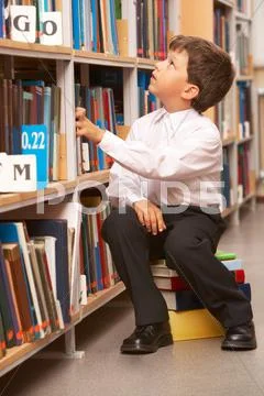 Portrait of diligent schoolboy looking at bookshelf in the library Stock Photos