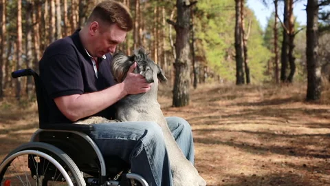 Portrait of a disabled man with a dog Stock Footage 152585217
