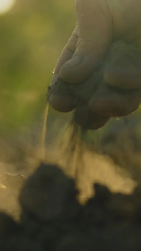 Portrait Display. A palm explores dry black soil. Global climate change. Mod Video stock 331716779
