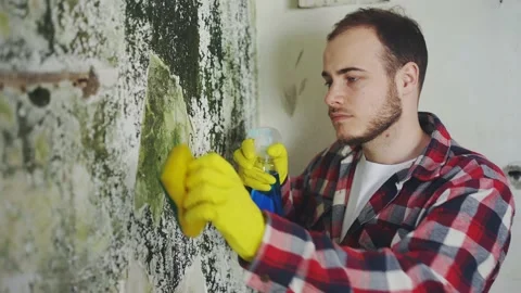 Portrait dissatisfied man applying chemical spray means to remove mold killing Stock Footage 238081653